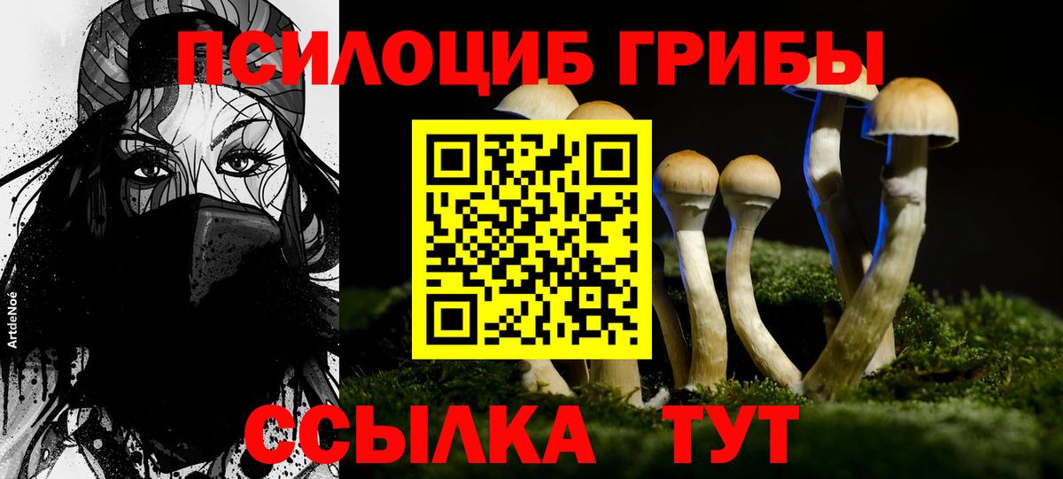 Новороссийск  Псилоцибиновые грибы мухоморы  Галлюциногенные грибы ЛСД  Вход с VPN 